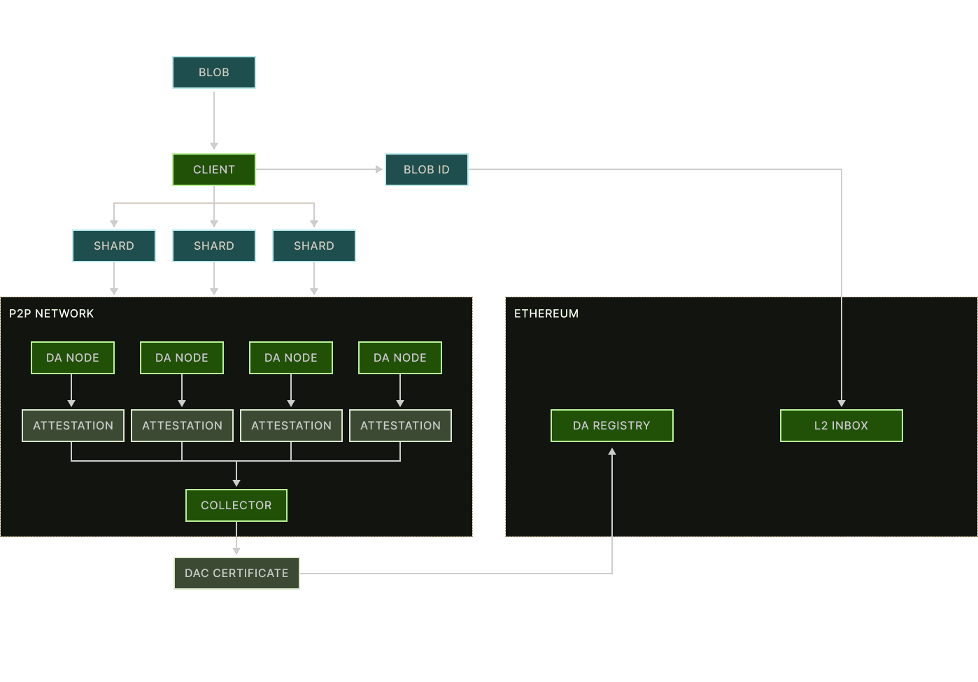 Blob Lifecycle Diagram